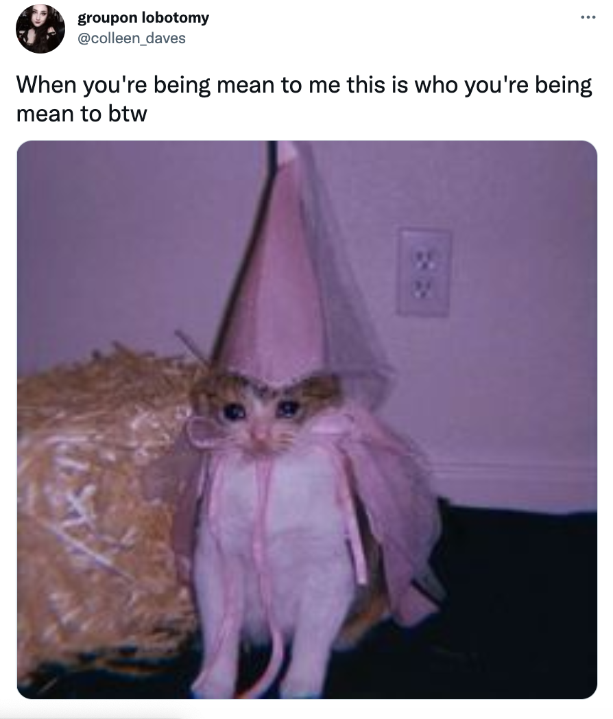 Introduction: This is who you’re being mean to